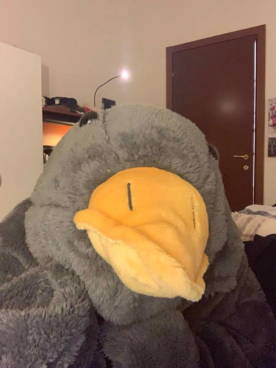 💥LAST DAY SALE 50% OFF💥Wearable Silly Goose Blanket Set