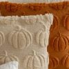 🎁TikTok Last Day Sale - 70% OFF👻 Autumn Pumpkin Throw Pillow Cover