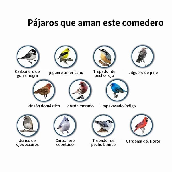 (🔥Promoción Del Último Día 49%OFF🔥)Comedero Para Pájaros A Prueba De Ardillas(Compra 2 Envío Gratis)