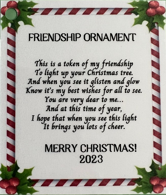 🎁Light of true friendship ornament