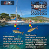 🌊 Summer Sale-30% OFF🐠Electronic Fishing Lure