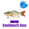 🎣 Summer Sale-50% OFF🐠FishWishRod™- Lifelike Swimbait