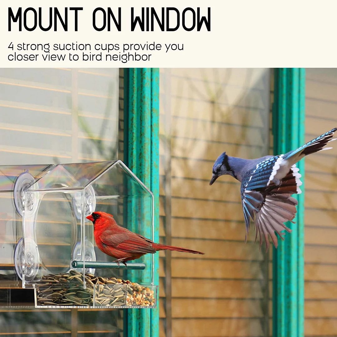 2023 New Year Limited Time Sale 70% OFF🎉Window Bird Feeder for Outside🔥Buy 2 Get Free Shipping