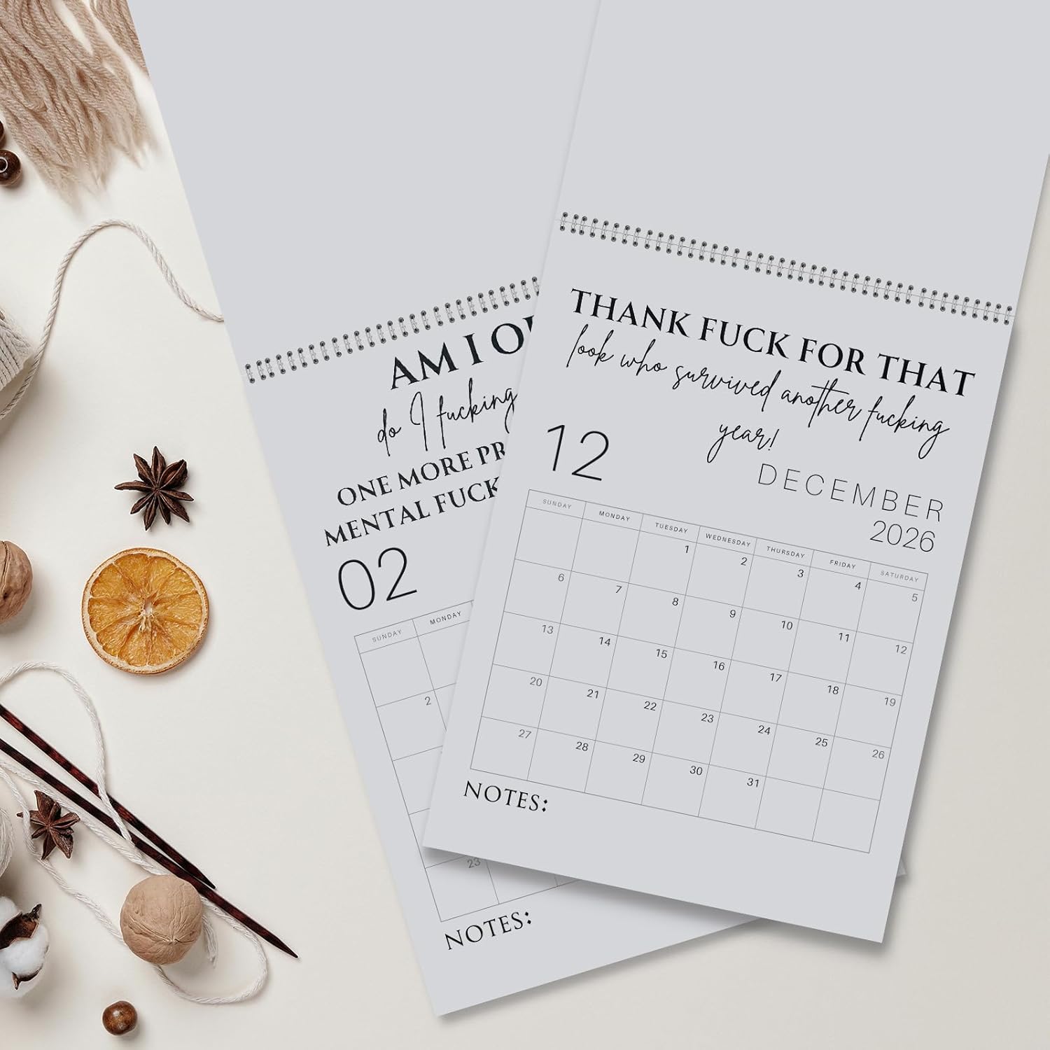 💥LAST DAY SALE 50% OFF💥Fu*k It 2026 Spiral Bound Wall Calendar