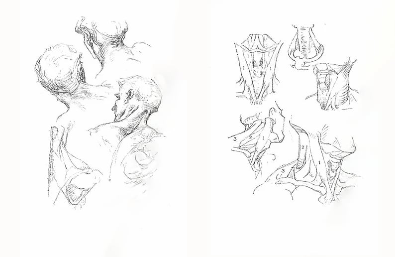 🎨Character Drawing Secrets+Character Drawing: The Dot Method Set | Korean with English(📚HARDCOVER BOOK)