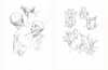 🎨Character Drawing Secrets+Character Drawing: The Dot Method Set | Korean with English(📚HARDCOVER BOOK)