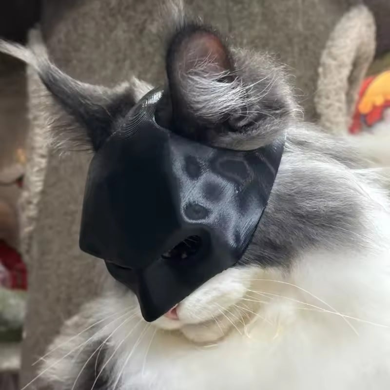 Pet cat handsome bat mask