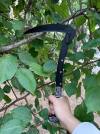 Dual-Section Folding Sickle