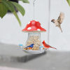 🔥Hot Sale 50% Off❤️Red Mushroom Solar Bird Feeders