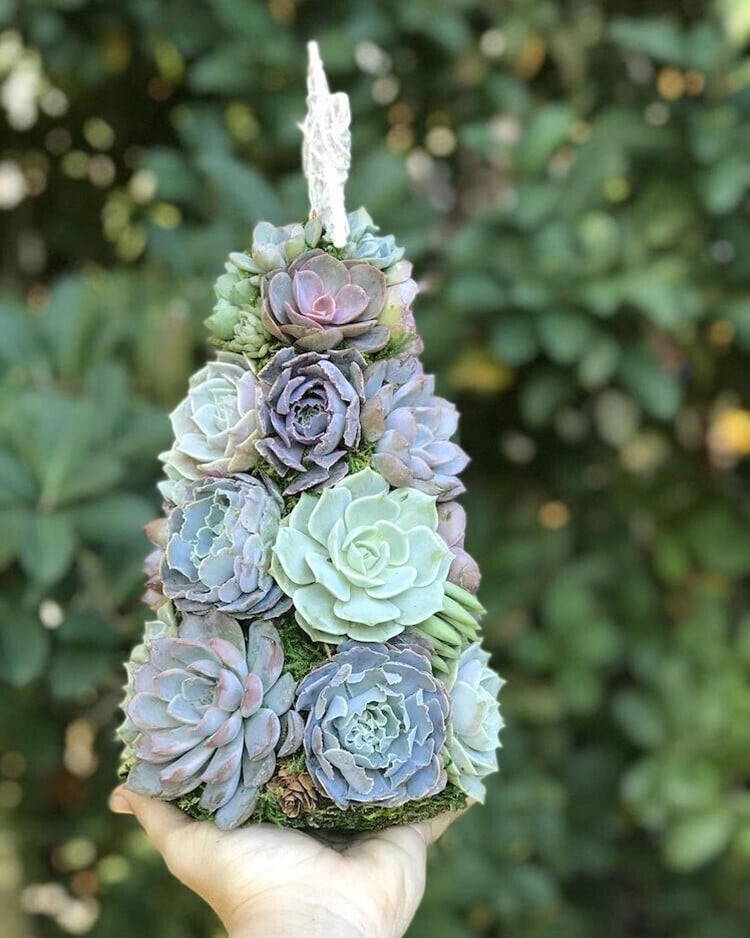 (🌲Early Christmas Sale- 50% OFF) 🎄Succulent Art Tree - Buy 2 Free Shipping