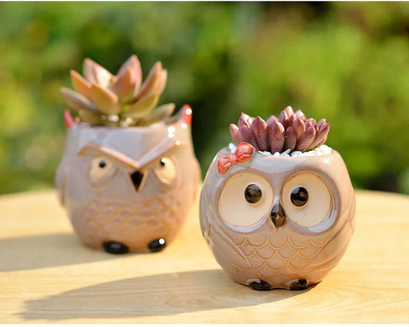 Cute Owl Ceramic Succulent Planter Pot- Buy 2 Free Shipping