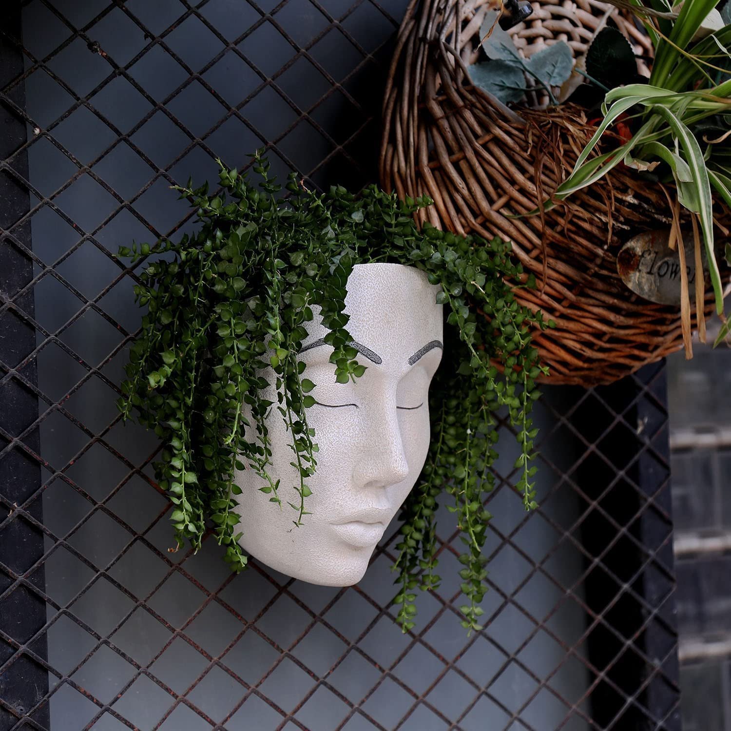 🔥Handmade Plant Faces-Buy 2 Get Free Shipping