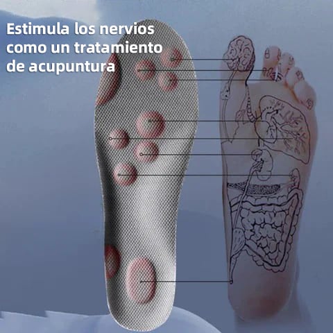 1 Par de Plantillas Deportivas Con Tecnología 4D Cloud Para Hombre Y Mujer🦶Compra 2 Obtén 15% OFF