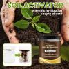 🔥Seasonal promotion🔥Soil Pro Activator