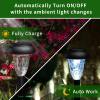 🔥Halloween Flash Sale - 50% offSolar Garden Decorative Lights