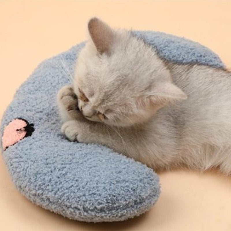 😻Hot Promotion- 50% OFF😻Cat Lovely Cozy Pillow