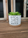 🌼Funny Succulent Pot