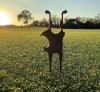 Multi Golf Tool
