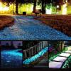 🔥Last Day Promotion 70% OFF🔥Glowing Garden Pebbles