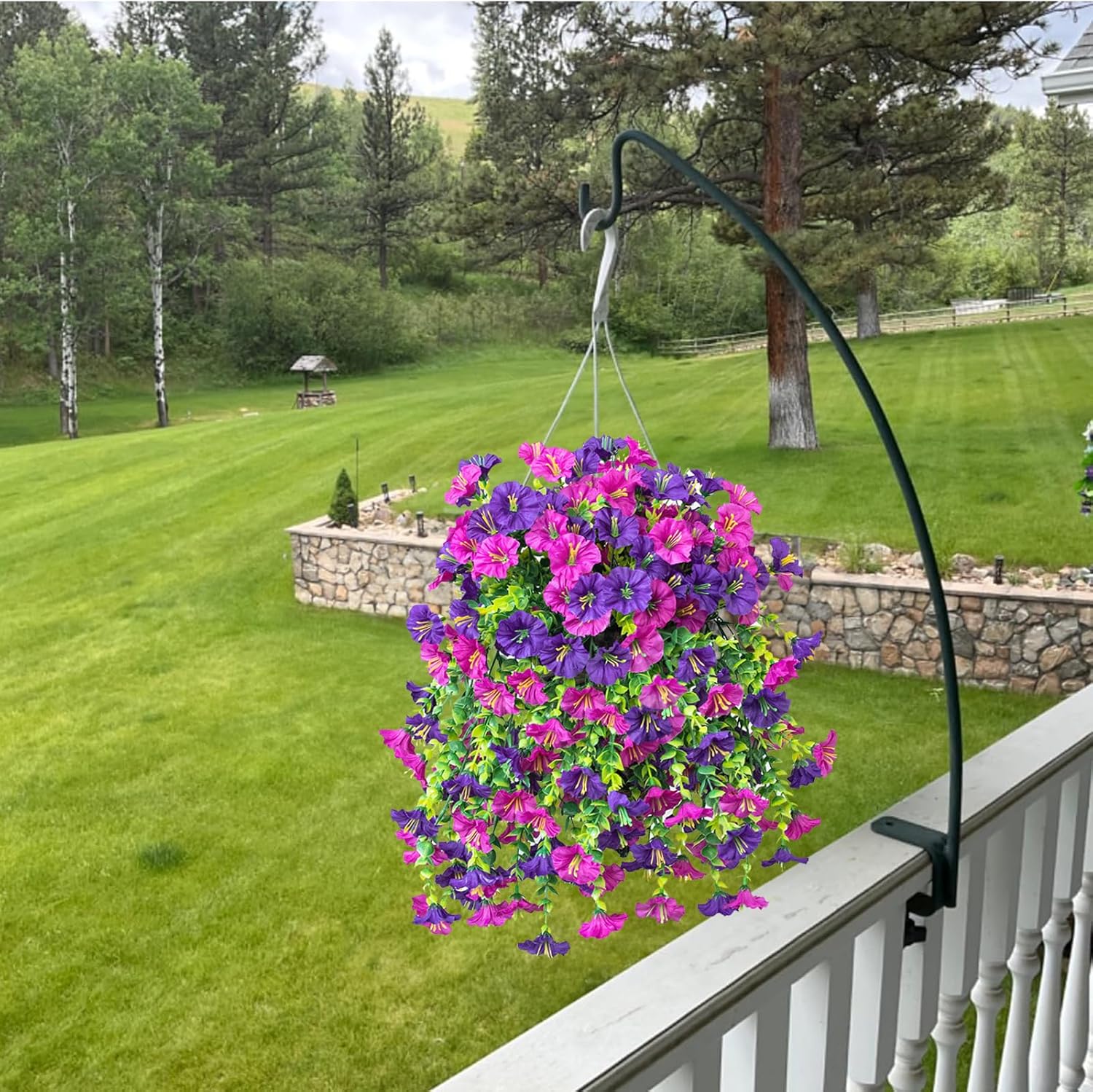 Perfect home garden decoration – 🌺hanging morning glory