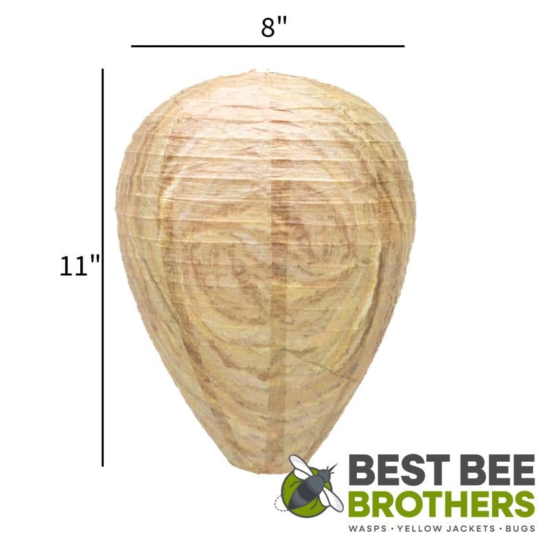 🎁TikTok Last Day Sale - 70% OFF🎉Best Bee Brothers Natural Wasp Deterrent Hives - Protect Your Yard from territorial wasps