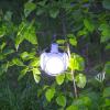 2025✨Letzter Tag 49 % Rabatt🔥2 in 1 Faltbare Solarlampe