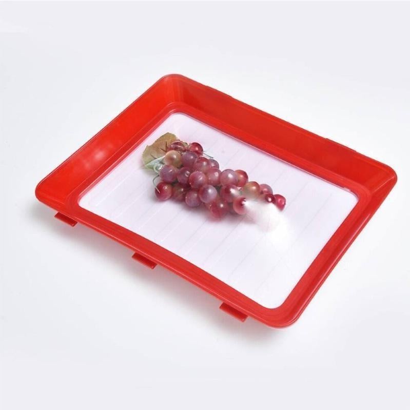 🎄TikTok Christmas Sale - 70% OFF✨Reusable Food Preserving Tray🥰