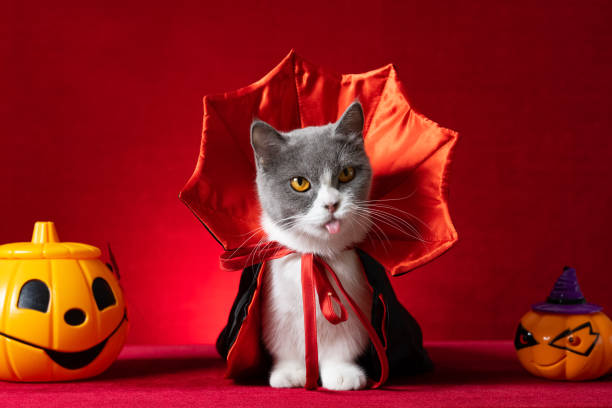 <strong>🎃Halloween Special 50% OFF</strong> 🦇Halloween Pet Cape Costumes Cosplay Vampire Cloak