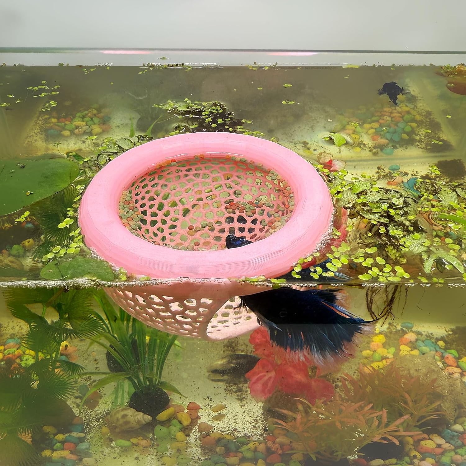 🔥Last Day: 50% OFF🐟Floating Betta Fish Skins