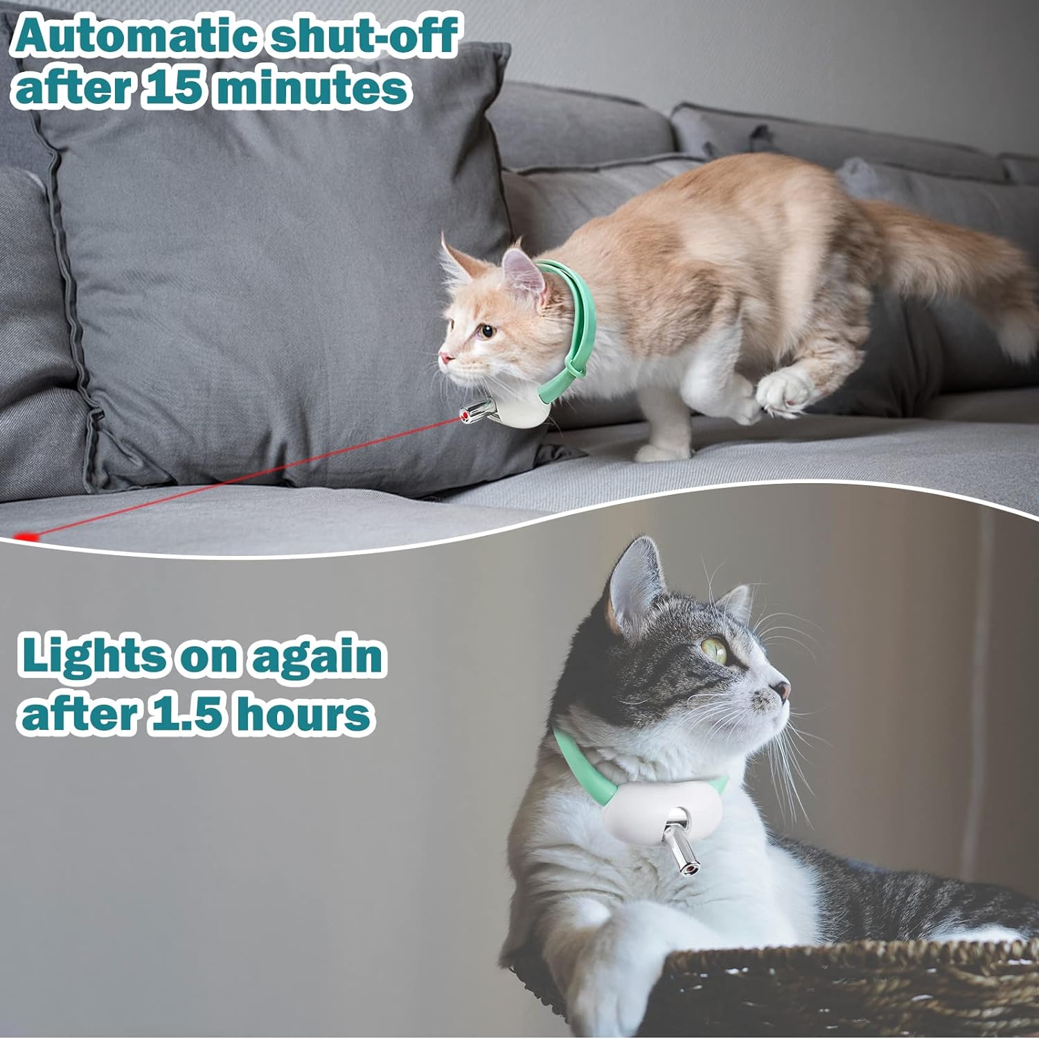 🔥Last Day Promotion - 50% OFF🎁 Rechargeable Interactive Laser Toy Collar for Indoor Kittens & Cats🐈