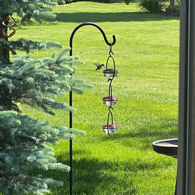 Hummble Slim Hummingbird Feeder