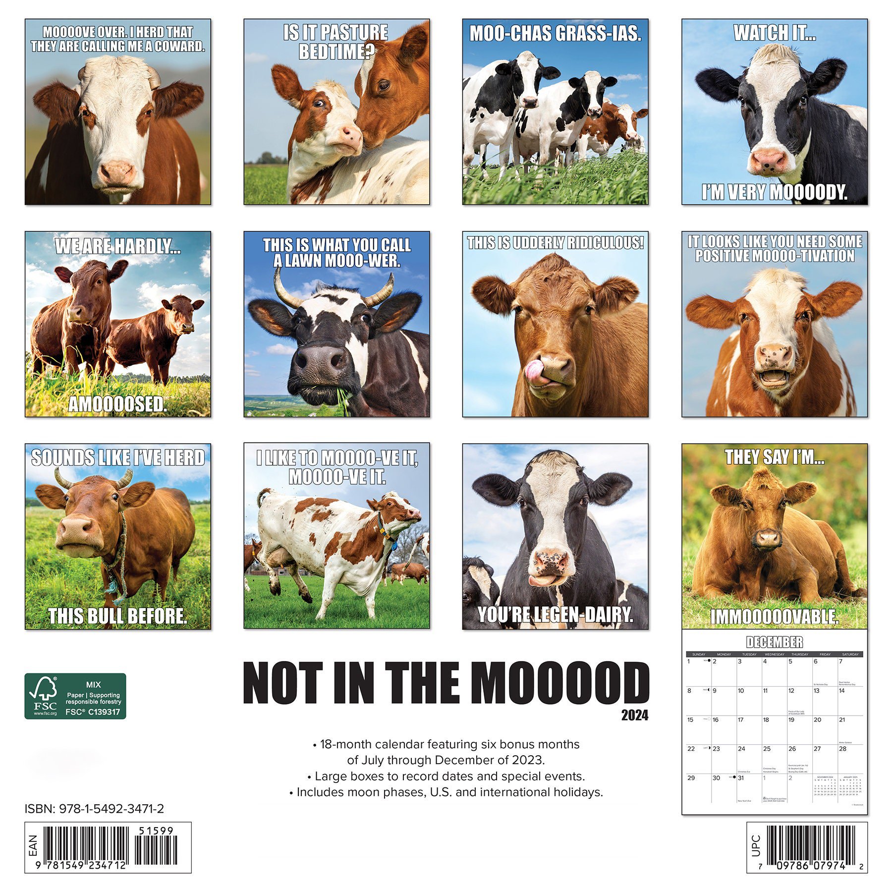 😂2024 Funny Animal calendar | Inspired farm humor