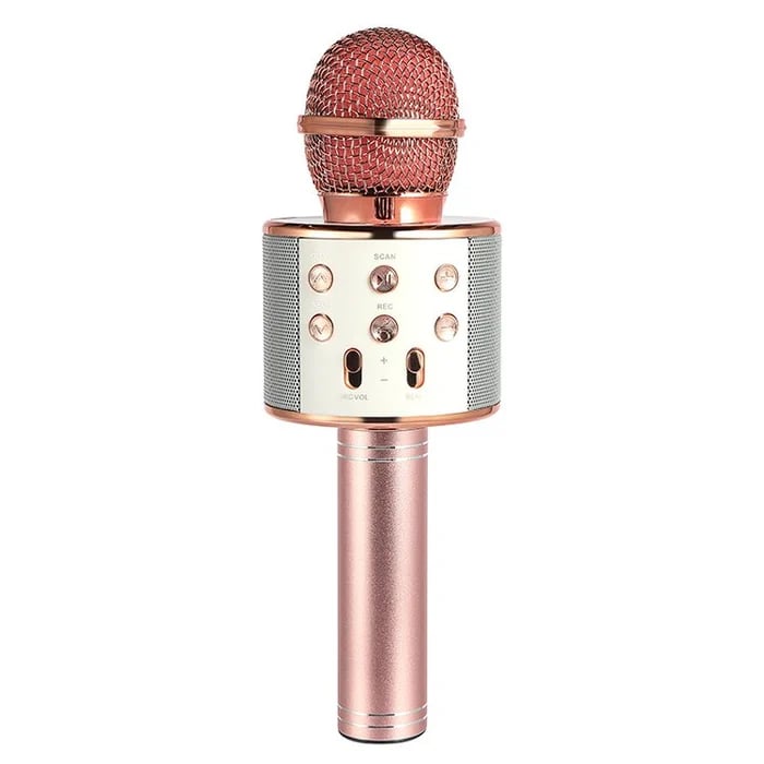 🔥Last Day 48% OFF🔥2022 New Wireless Bluetooth Karaoke Microphone