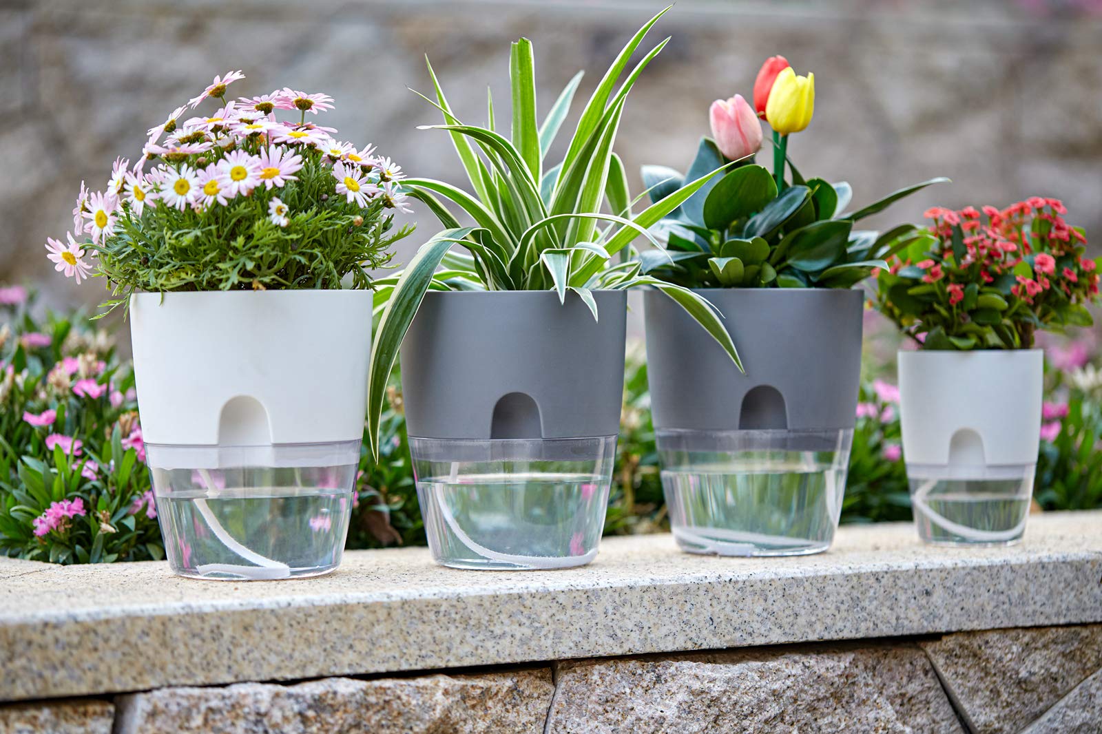 ⏰Last Day Promotion- SAVE 70%🏠Self Watering Plant Pot