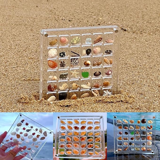 🔥Summer Hot Sale-50%OFF🐚Magnetic Seashell Display Case