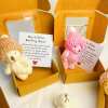 ⏰LAST DAY SALE 50% OFF🎁Handmade Mini Plush Teddy Bear in Box