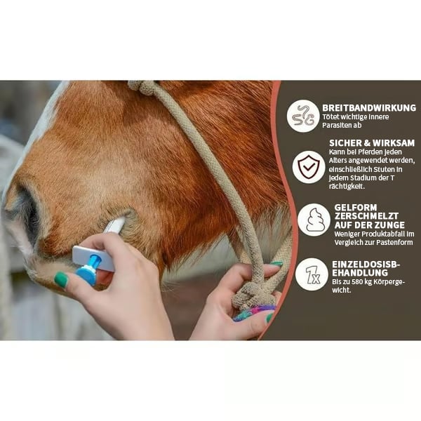 🔥Letzter Tag 49% RABATT🔥Ivermectin-Pferdepaste 1,87% 6,08g Tuben