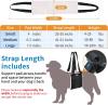 4-150 lbs Dog Lift Harness Adjustable Dog Sling for Large Dogs Lift Support and Rehab Harness for Weak Rear Legs, Soft Hind Leg Support Helps Senior, Injured, Disabled and After ACL Surgery (Large)