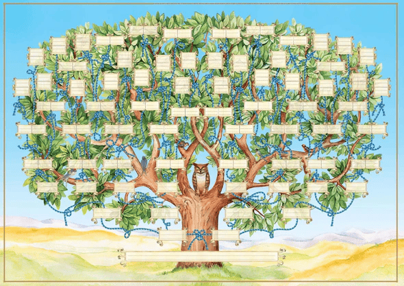 💖Special Gift 48%OFF🔥Family Tree Chart Diy Gift