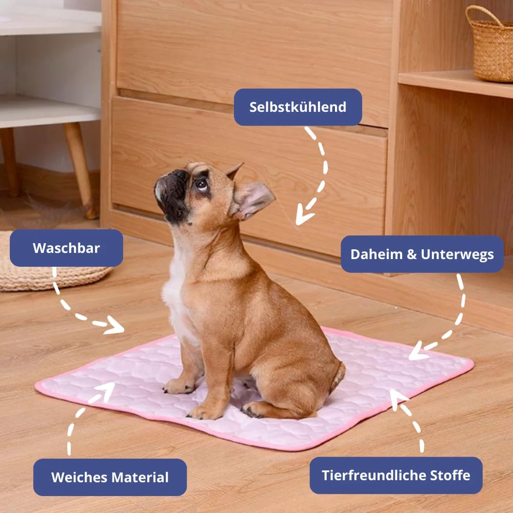 🔥Sommerschlussverkauf 🐶Premium Kühlmatte für Hunde