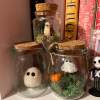 👻✨Pet Ghost in a Bottle