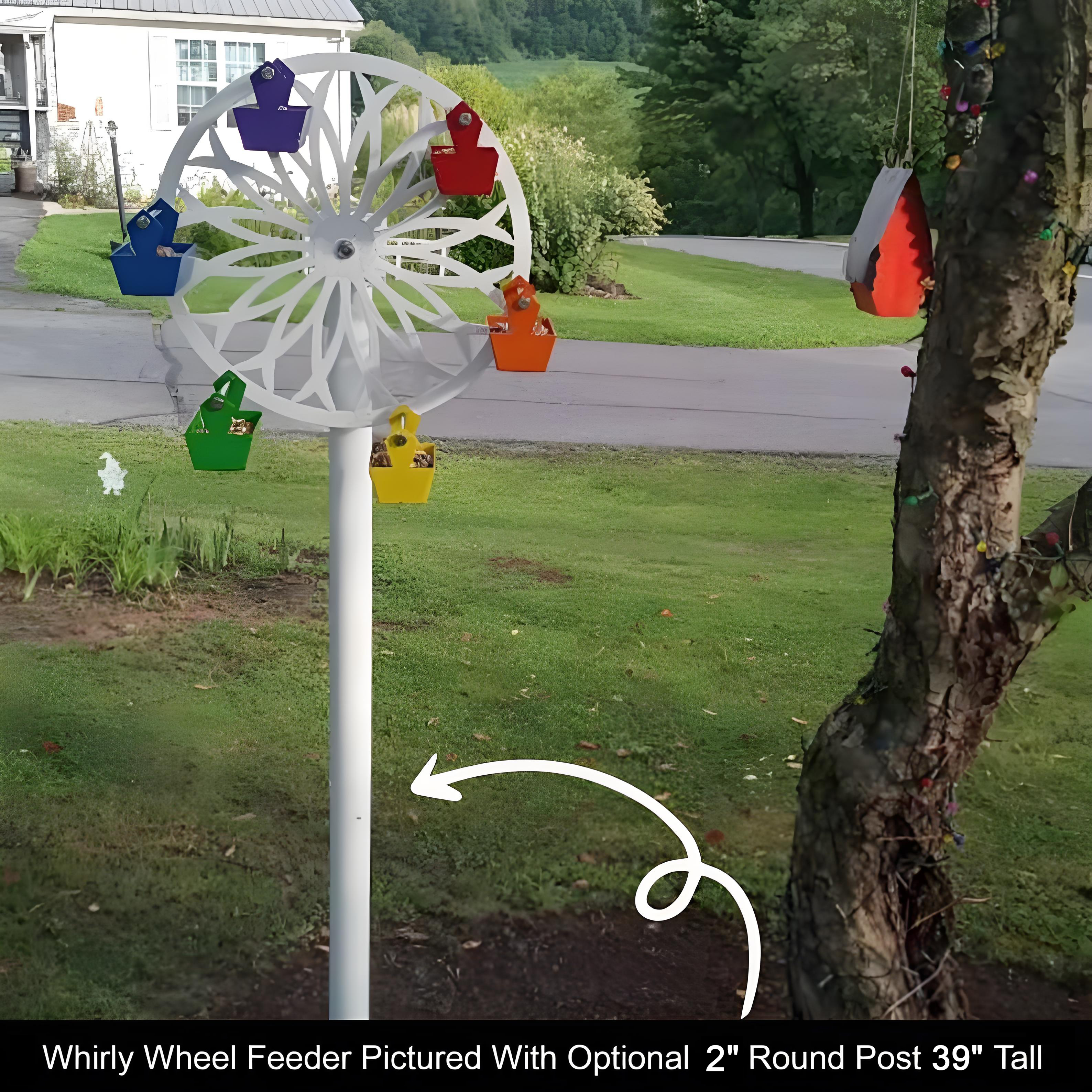 Last Day 70% OFF🔥The Ferris Wheel of Fun for Your Feathered Friends