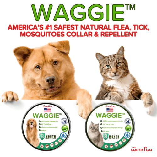 Last Day Promotion 48% OFF - Natural Anti-Flea, Tick, & Mosquito Collar (Safest 8+ Months Protection)