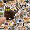 😻100 PCS Funny Kitten Stickers