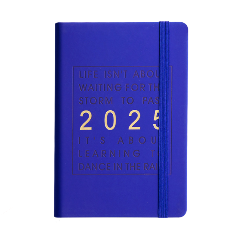 🔥2025 One Day One Page Daily Planner – Your Ultimate Gift Calendar🔥Buy 2 Free Shipping