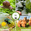 🌿Gardening Greenhouse Plant Covers 🌱Reusable, light-transmitting and breathable💪Prevent🐛insect🐓Poultry❄Frost🌧Rain🌪Wind