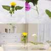 🔥Last Day 50% OFF - 2025 Creative Floating Floral Arrangement Holder