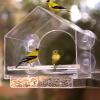 🔥🔥Mother's Day Early Sale-Window Bird Feeder for Outside