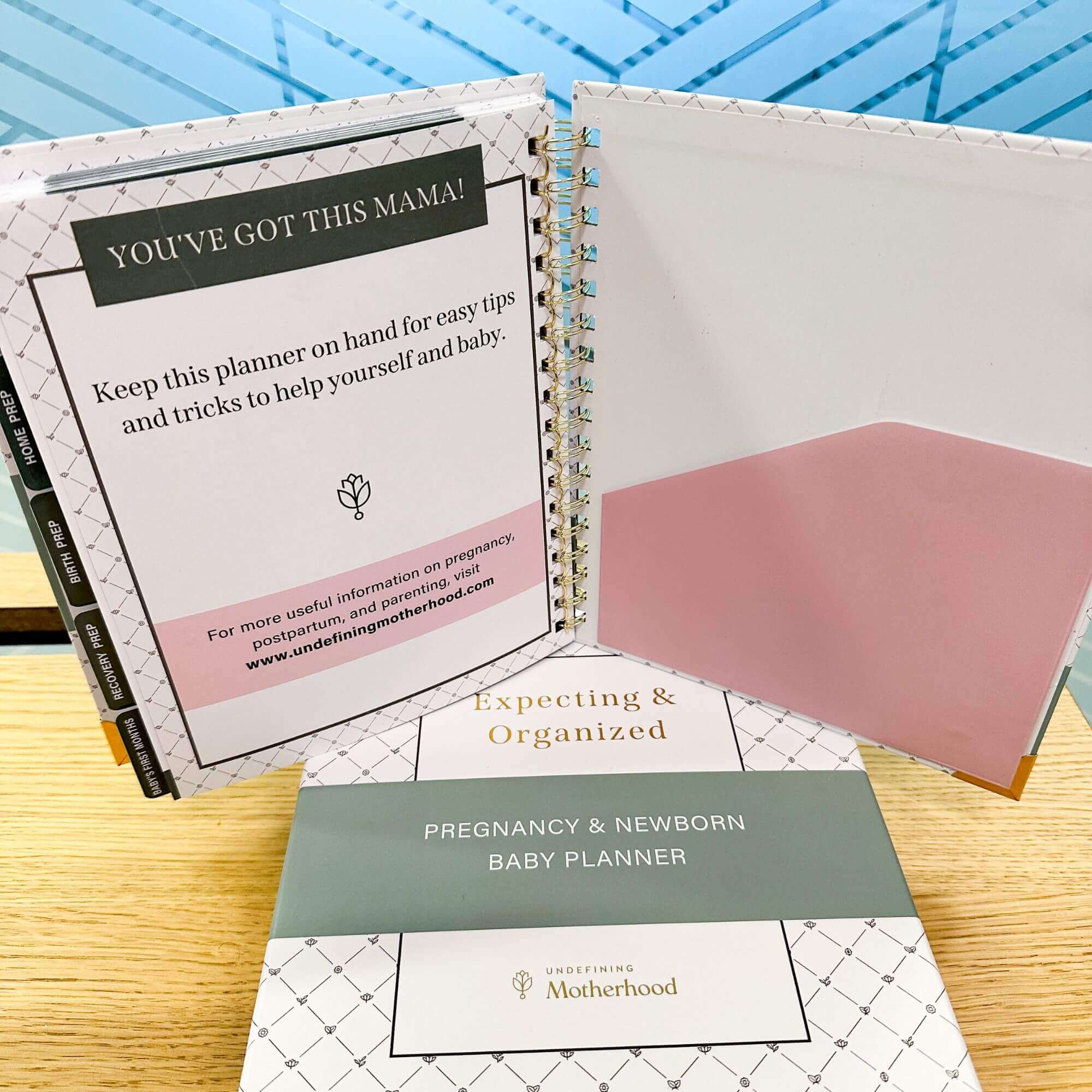 🔥Last Day Promotion 70% OFF🔥Expecting & Organized: Pregnancy Planner & New Baby Organizer