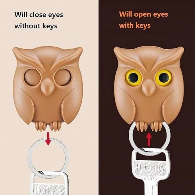 Owl wink keychain